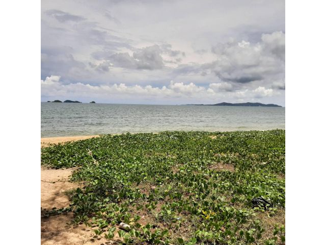 *** ขายที่ดินติดทะเล ชายหาดปากตะโปน จันทบุรี  หาดส่วนตัว โฉนด 10 ไร่