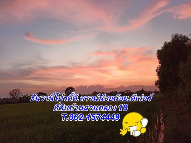 โปรท้ายปีดีเว่อร์ดาวน์เบาหวิวที่บ้านสวนคลอง10 T.062-1574449