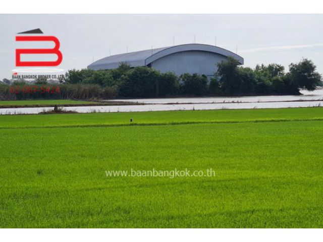 ที่ดินพร้อมโกดัง ดอนโพธิ์ทอง เนื้อที่ 16-2-18 ไร่ ถ.ทางหลวงแผ่นดินหมายเลข 357 อ.เมืองสุพรรณบุรี จ.สุพรรณบุรี