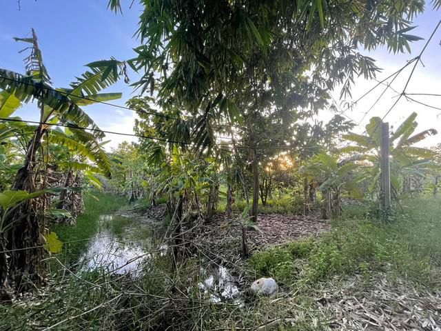 ขาย ที่ดินเปล่า ซอยสุวินทวงศ์47 ขนาด 1 ไร่