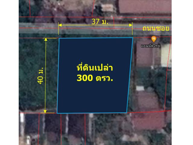 L305-ขายที่ดินเปล่า 300 ตรว. ใกล้ ม.แม่โจ้ ต.หนองจ๊อม อ.สันทราย จ.เชียงใหม่