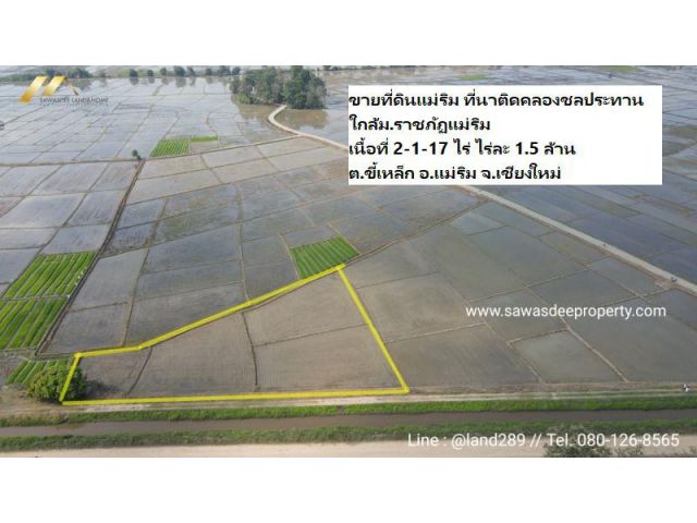 ขายที่ดินแม่ริม ที่นาติดคลองชลประทาน ใกล้ม.ราชภัฏแม่ริม เนื้อที่ 2-1-17 ไร่