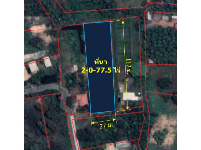 ขายที่นา 2-0-77.5 ไร่ หลัง ม.แม่โจ้ ต.ป่าไผ่ อ.สันทราย จ.เชียงใหม่