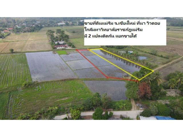 ขายที่ดินแม่ริม จ.เชียงใหม่ ที่นา วิวดอย ใกล้ราชภัฏแม่ริม มี 2 แปลงติดกัน แยกขายได้