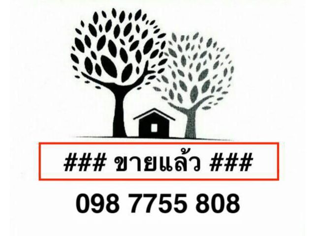 ขายที่ดินถนน 347 บางปะหัน อยุธยา 098 7755 808