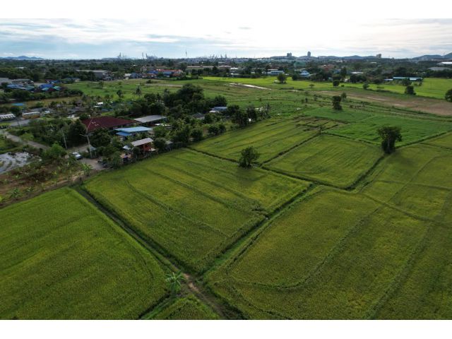 ขายที่นาศรีราชา 4 ไร่ หลังเครือสหพัฒน์ ติดถ.คอนกรีต ใกล้ท่าเรือแหลมฉบัง - 8 กม. จ.ชลบุรี
