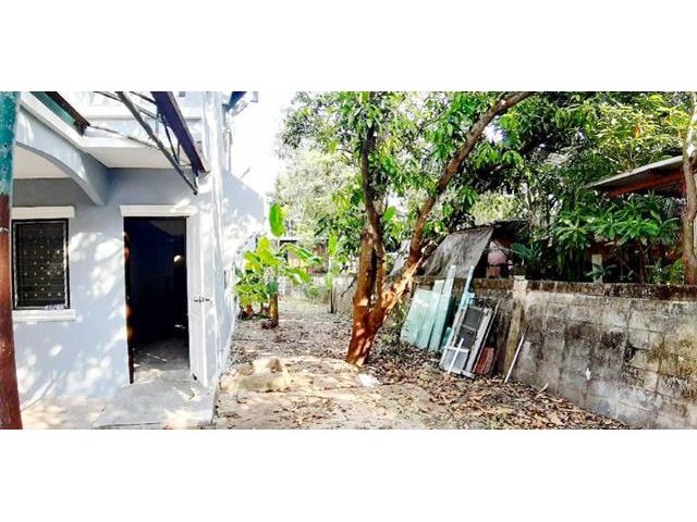 รร.ออเงิน พหล52-54 บิ๊กซี สายไหม 55 ตรว.2ชั้น