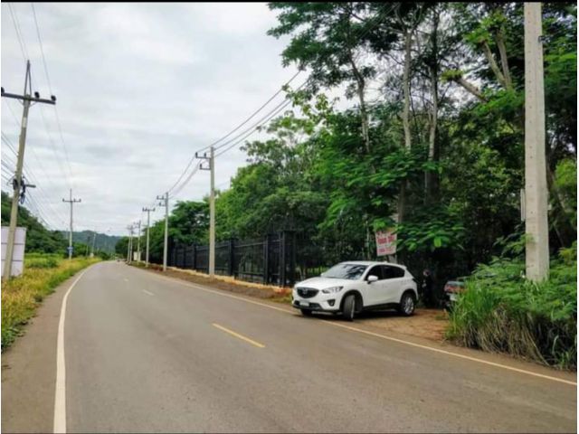 ขายที่เขาวง เขาใหญ่ 36 ไร่ ใกล้สถาบันผู้นำ CP หนองน้ำแดง ติดถนนลาดยาง เหมาะทำหมู่บ้านจัดสรร โรงแรม รีสอร์ต ทำเลดีมาก เดิ