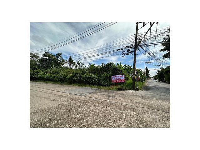 ขายที่ดินเปล่า พระราม2 ถมแล้ว ใกล้โรงเรียนนานาชาติรุ่งอรุณ สนใจติดต่อ 092 362 4932