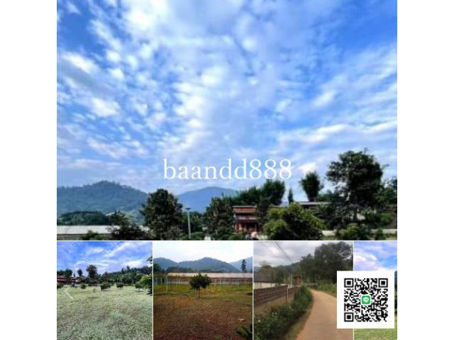 ขายที่ดืน บ้านโป่งแยง อ.แม่ริม  ติดลำธารวิวภูเขา  เนื้อที่ 4 ไร่กว่า