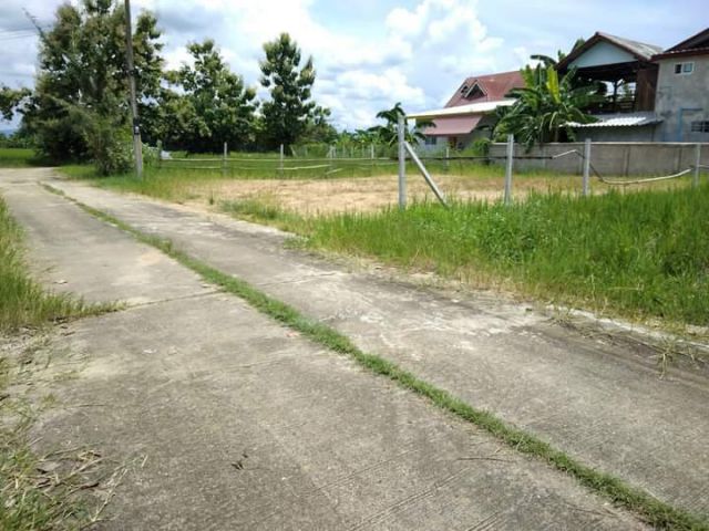 ขายที่ดินร้องวัวแดงสันกำแพงถมดินน้ำไฟพร้อมโอน