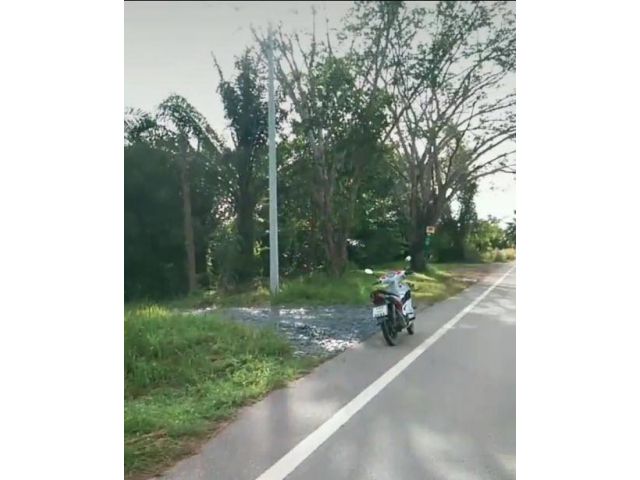 ขายที่ดินสวนผลไม้จันทบุรีหน้าติดถนนทางหลวงสายวังใหม่คลองลาว เนื้อที่ 11 ไร่เศษ ขาย 9 แสนต่อไร่
