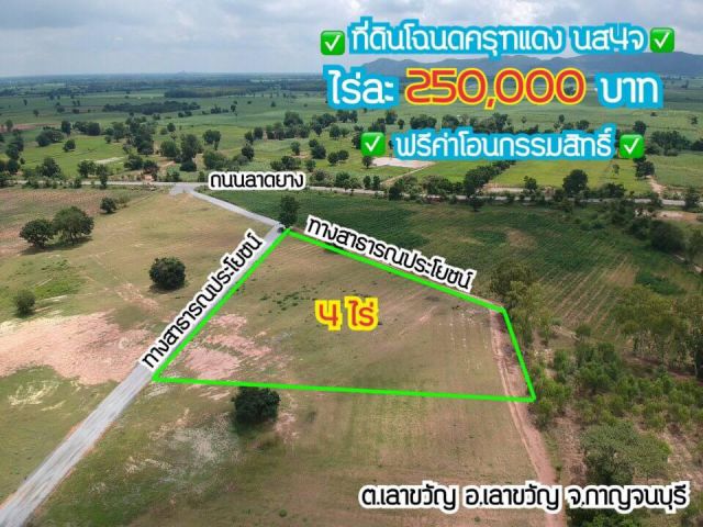 ที่ดินโฉนด นส4จ      ราคาไร่ละ 190,000บาท ฟรีค่าโอน  ที่ดินแปลงละ  1 ไร่ 2 ไร่ 3 ไร่  ที่ดินใกล้คลองน้ำ ที่ดินติดถนน มีไ