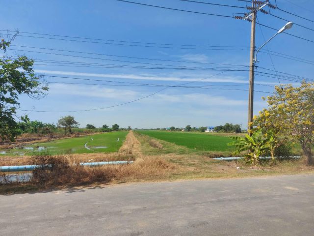 ขายที่ดินติดถนนคู้คลองสิบ หนองจอก เนื้อที่ 5 ไร่ครึ่ง  หน้ากว้าง ได้ถนนซอย ขายเพียง ตร.วา ละ 12,000 บาท