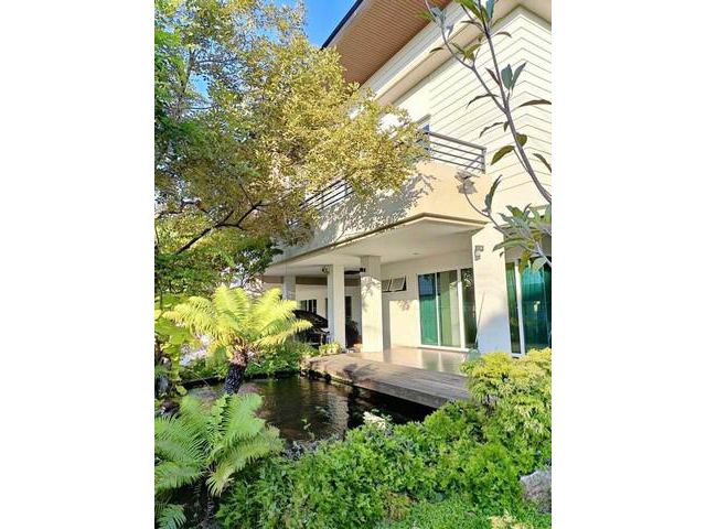 ให้เช่าบ้านเดี่ยว หมู่บ้านพฤกษชาติ รามคำแหง 118