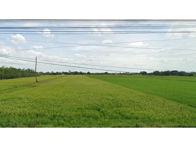 ขายที่ดินเนื้อที่ 82 ไร่ ตำบลคลองโยง พุทธมณฑล