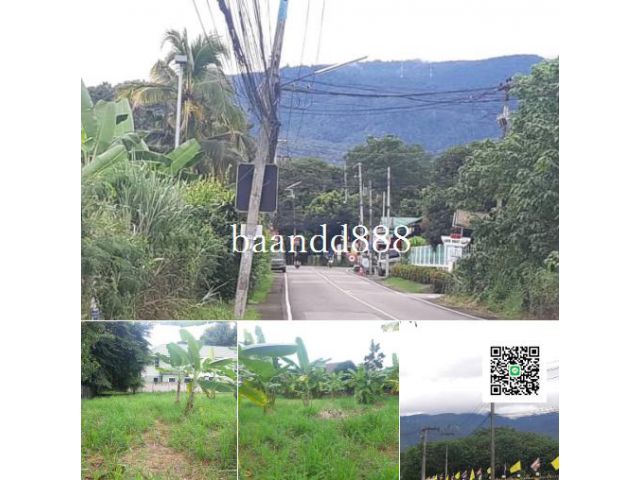 ขายที่ดิน เจ็ดยอด  304 ตรว. วิวสวยดอยสุเทพ