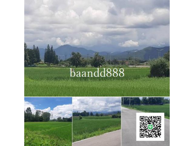 ขายที่ดินสันกำแพงวิวสวยทุ่งนา ห่างถนนสันกำแพงสายใหม่เพียง 150m