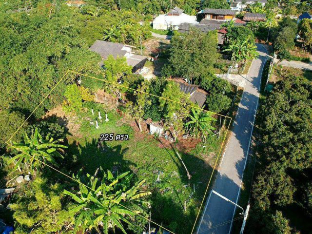 ขายที่ดิน พิกัด ตำบลชมภู อำเภอสารภี เชียงใหม่ ราคา 1,350,000 บาท ฟรีโอน
