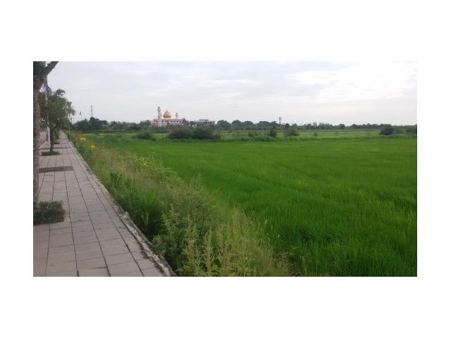 ขายที่ดินคลองสามวา-หนองจอก  25 ไร่  ติดถนนคลอง 9  ราคาพิเศษสุด !! ไร่ละ 1.5 ล้าน !!!