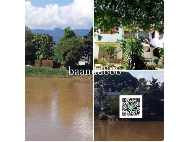 ขายที่ดินติดแม่น้ำปิงแปลงสวยเมืองเชียงใหม่ 3-3-42 ไร่