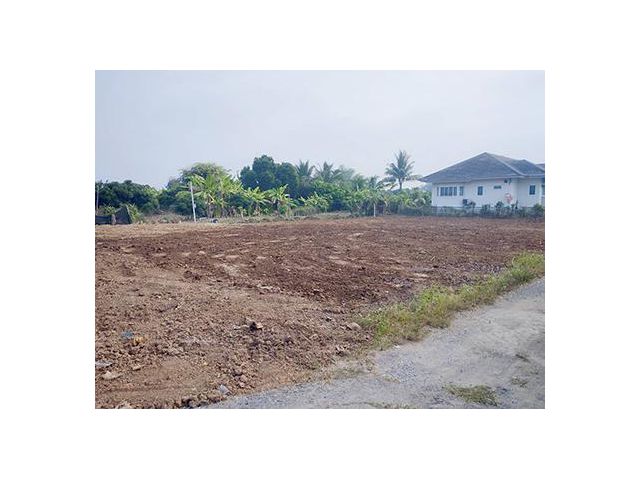 ขายที่ดิน เหมาะสำหรับสร้างที่อยู่อาศัย และการลงทุน สารภี เชียงใหม่ สนใจโทร 081 366 2672