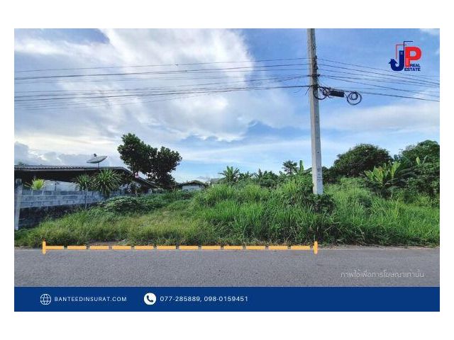 ขาย ที่ดิน 56วา ต.ขุนทะเล สุราษฎร์ธานี