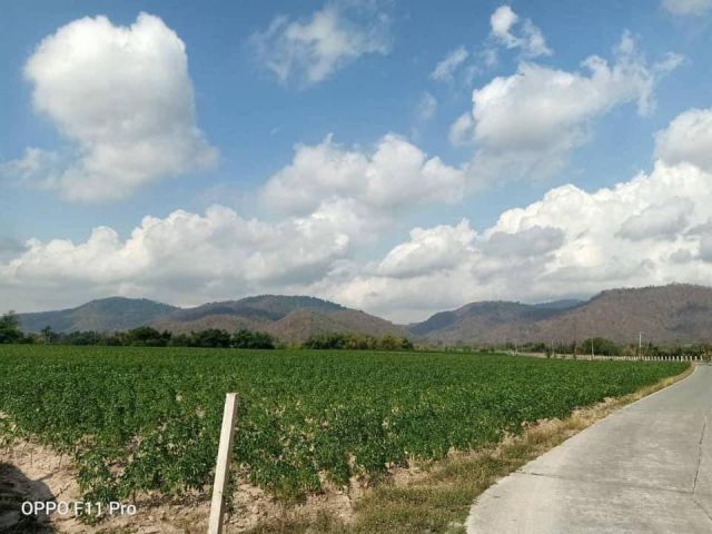 ขายถูกที่วิวเขาบ้านบึงสวยมาก 42-0-55ไร่ ไร่ละ 1.2ล้าน ต.คลองกิ่ว อ.บ้านบึง จ.ชลบุรี