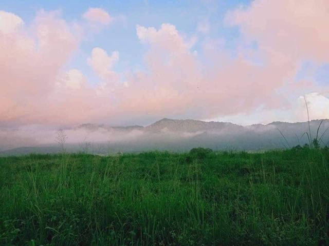 ขายที่วิวเขาบ้านบึงสวยมาก 45-3-33ไร่ ไร่ละ 2.5 ล้าน ต.บ้านบึง อ.บ้านบึง จ.ชลบุรี