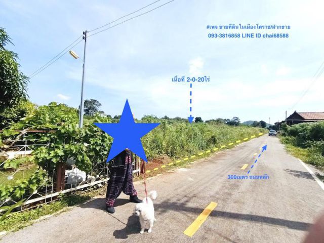##ที่ดินวิวภูเขา ขายที่ดินโฉนดวิวภูเขา อากาศดี มีเพื่อนบ้าน เนื้อที่รวม 2-0-20ไร่ ตำบลหนองสาหร่าย ปากช่อง โคราช ##