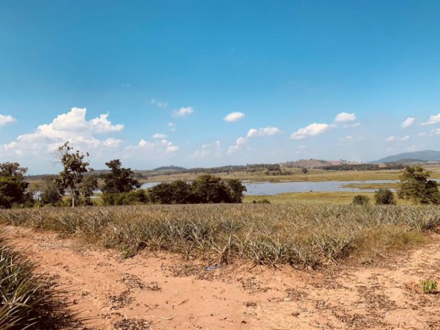 PK486ที่ดินติดทะเลสาบเชียงแสน 90 ไร่เศษ จังหวัดเชียงราย อำเภอเชียงแสน ตำบลโบนก