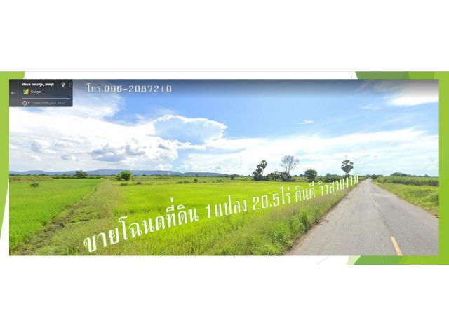 ขายถูก!! ที่นาที่ไร่ดงมะรุม/โคกสำโรง โฉนดครุฑแดง 20 ไร่ 2งาน เหมาะทำสวนเกษตร