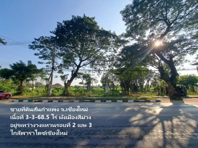ขายที่ดินสันกำแพง เนื้อที่ 3-3-68.5 ไร่ ผังเมืองสีม่วง อยู่ระหว่างวงแหวนรอบที่ 2 และ 3 ใกล้พาราไดซ์เชียงใหม่