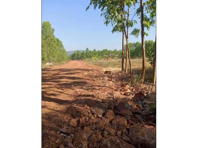 ขายที่ดินนนทรี 8 ไร่ ใกล้ถนนเส้นสุวรรณศร 33 - 5.5 กม. กบินทร์บุรี ปราจีนบุรี