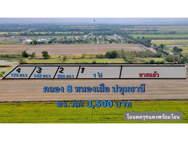 ที่ตินแบ่งขายราคาถูก คลอง8 หนองเสือ ปทุมธานี