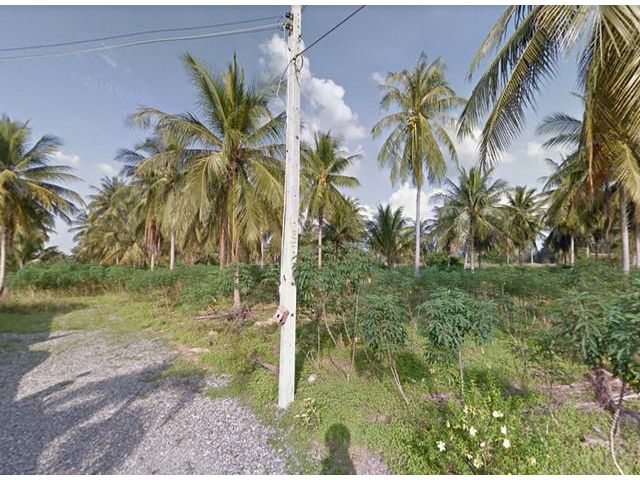 ขายที่ดินหนองปลาไหล 3.5 ไร่ ใกล้เทศบาลหนองปลาไหล - 700 เมตร บางละมุง จ.ชลบุรี