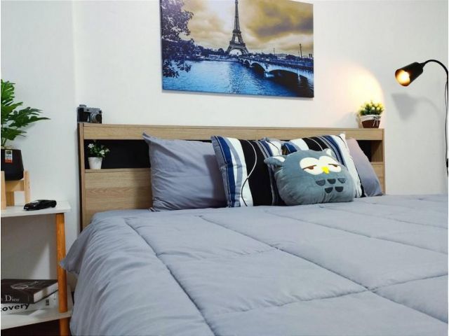 46-CT๋JP ขาย เอื้ออาทรไนท์ซาฟารี ห้องหรู