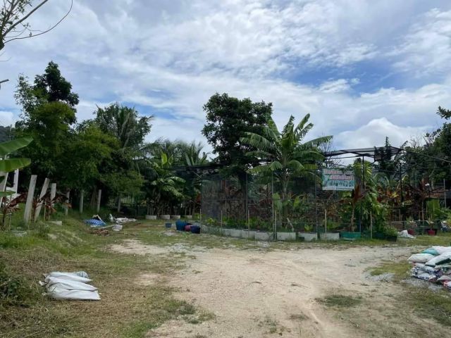 ขายบ้านสวนพร้อมที่ดิน 2 ไร่ หนองรีวิวเขาล้อมรอบ ติดถ.คอนกรีต ใกล้ถนนเส้น 344 - 2 กม. เมืองชลบุรี