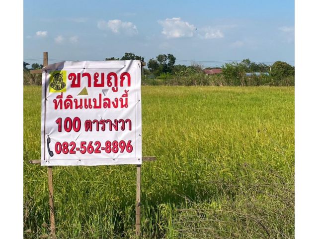 ขายถูกที่ดิน 100 ตารางวาซอยพูลทรัพย์ ใกล้ถนนหลักประชาสำราญ หนองจอก