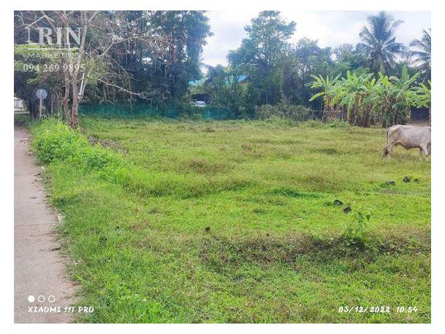 R055_006 -ขายที่ดิน 3 ไร่ ใกล้ ที่ว่าการอำเภอสันกำแพง จ.เชียงใหม่