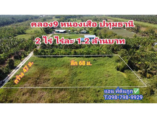 ที่ดินคลอง 9 หนองเสือ 2 ไร่ ถนนรังสิต-นครนายก