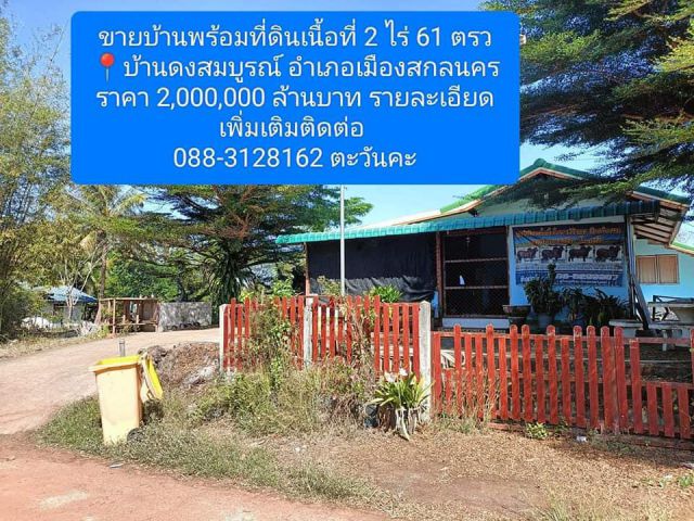 ขายบ้านพร้อมที่ดิน เนื้อที่ 2 ไร่ 61 ตรว