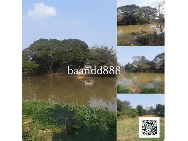 ขายที่ดินติดแม่น้ำปิงเมืองเชียงใหม่225ตรว.
