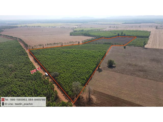 ️ขายที่ลาดตะเคียน ที่ทำฟาร์ม หน้ากว้าง เกือบๆ300 เมตร มีไฟฟ้า 3 เฟส เนื้อที่ 48 ไร่  95 ตรว.