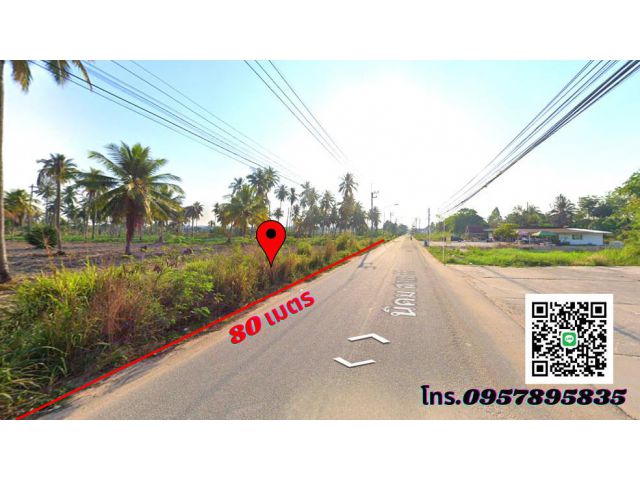 ขายที่ดินระยอง 24-3-19ไร่ นิคมพัฒนาสาย 9 *ใกล้ตลาดหนองบอน ย่านธุรกิจชุมชน เหมาะสำหรับทำบ้านจัดสรร โรงงาน โกดังสินค้า