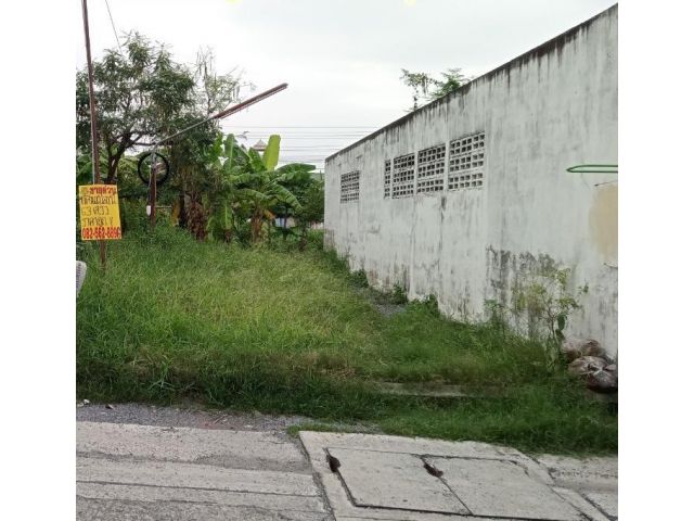 ขายที่ดินใกล้สถานนีรถไฟฟ้าคูคต (ถมแล้ว) ซอยลำลูกกา35