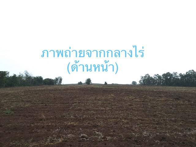 ขายด่วน ที่ดินเกษตร