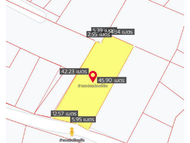 ขายที่ดินหนองแหน 170 ตรว. ใกล้ถ.เส้นสัตหีบ-พนมสารคาม(331) - 5.3 กม. พนมสารคาม ฉะเชิงเทรา