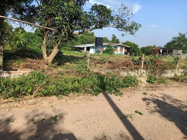 ที่ดินแบ่งขายหนองยาว 120 ตรว. ใกล้ถนนเส้น 3002 - 1.3 กม. พนมสารคาม ฉะเชิงเทรา