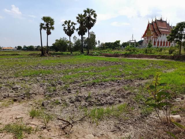 ขายที่ดินปากพลี 6 ไร่ ติดวัดสะแกซึง ใกล้ถ.สุวรรณศร 33 - 7 กม. จ.นครนายก